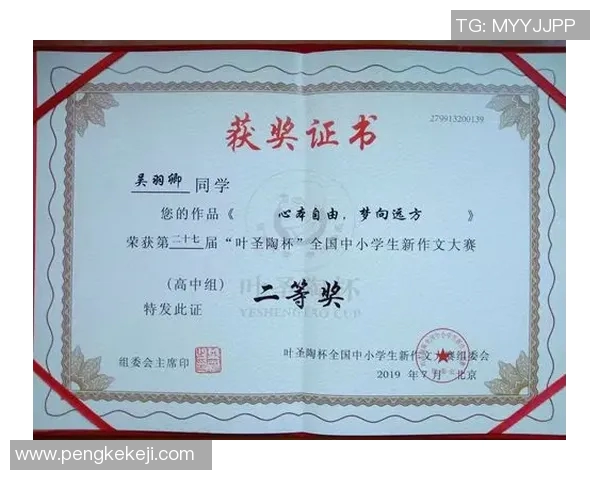 成都足球队在杯赛中的心理素质分析与表现评估